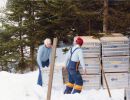 1978 L64 Ski WM Garmisch 20 1 bis 03 02 78